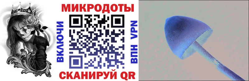 Псилоцибиновые грибы прущие грибы  Верхоянск 